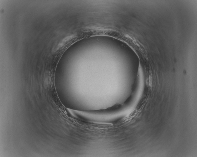 X0000062861157200601131408