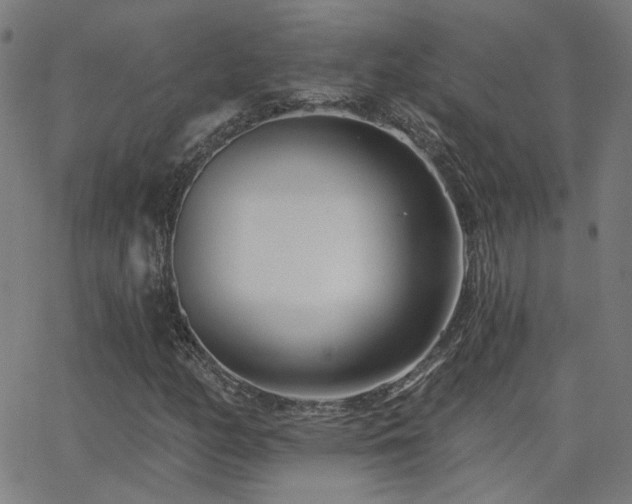 X0000062861158200601131408
