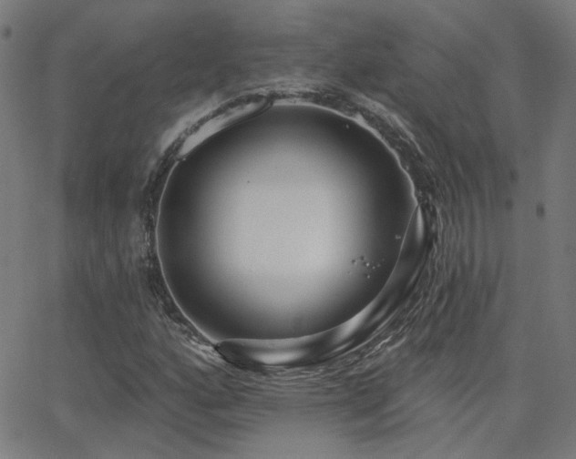 X0000062861160200601131408