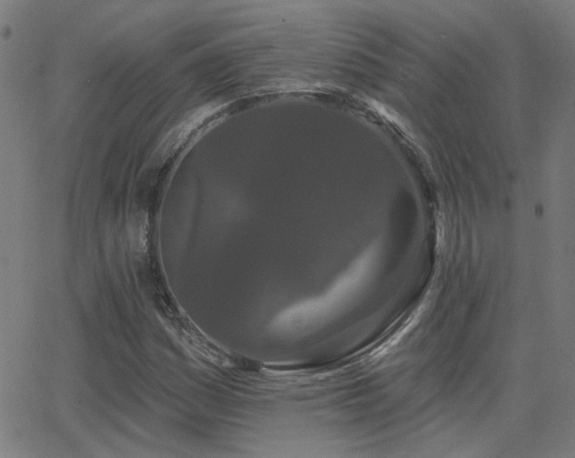 X0000062861161200601131408