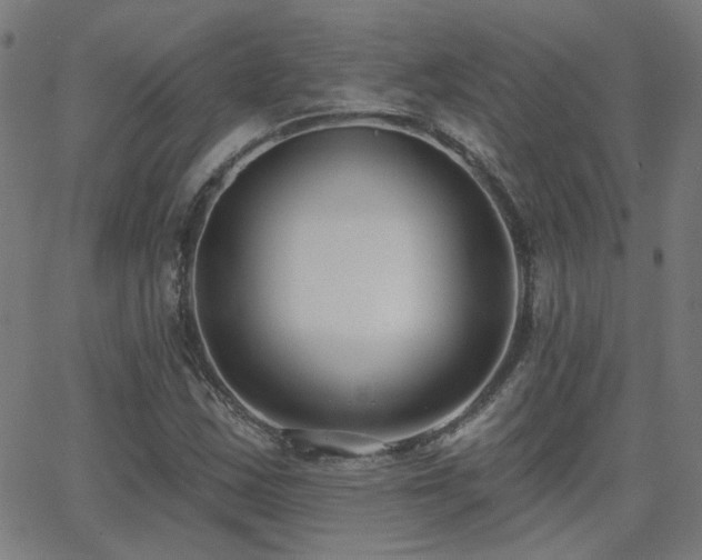 X0000062861163200601131408