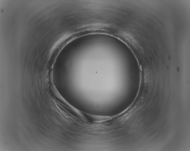 X0000062861164200601131408
