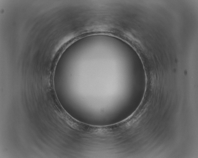 X0000062861166200601131408