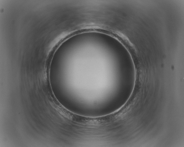X0000062861167200601131408