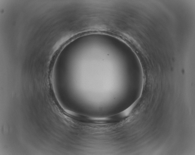 X0000062861168200601131408
