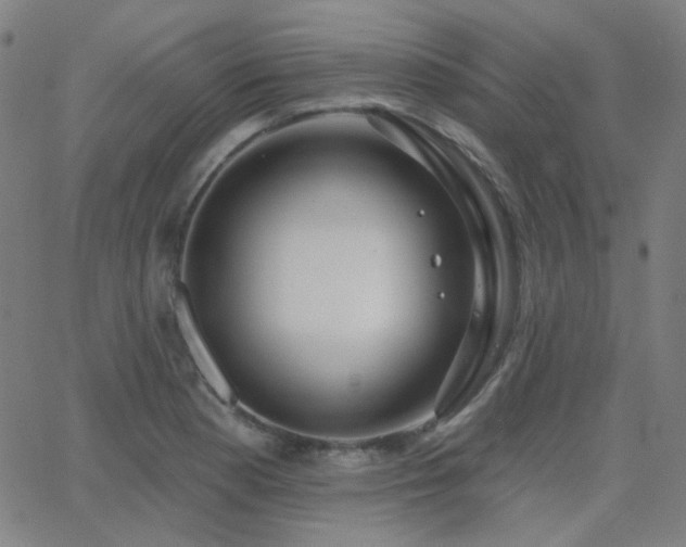 X0000062861177200601131408