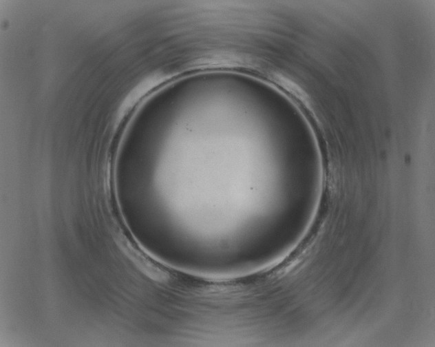 X0000062861179200601131408