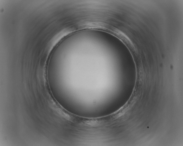 X0000062861182200601131408