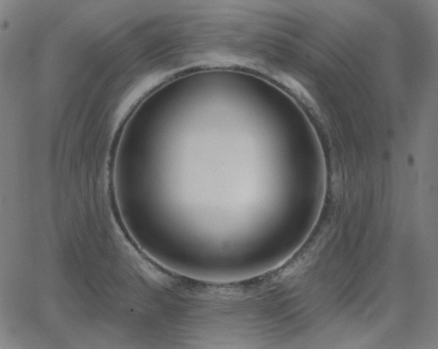 X0000062861183200601131408