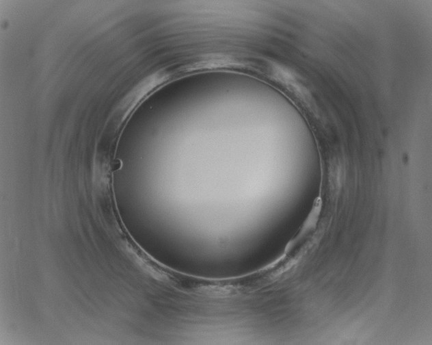 X0000062861185200601131408