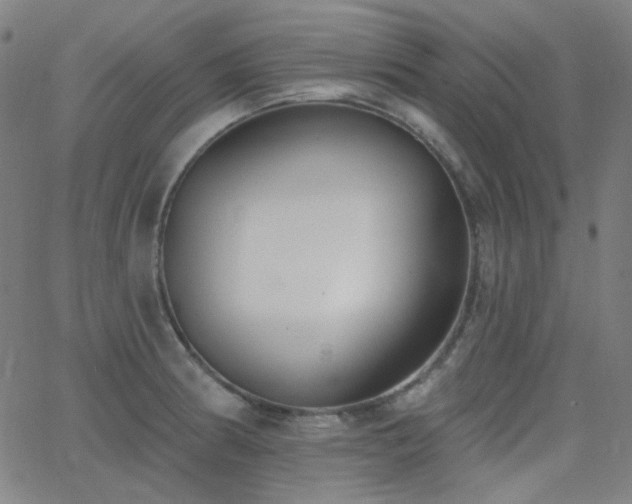 X0000062861186200601131407