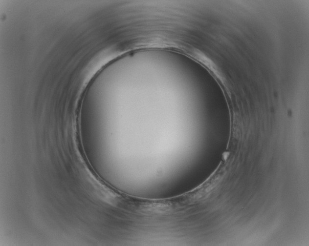 X0000062861187200601131407