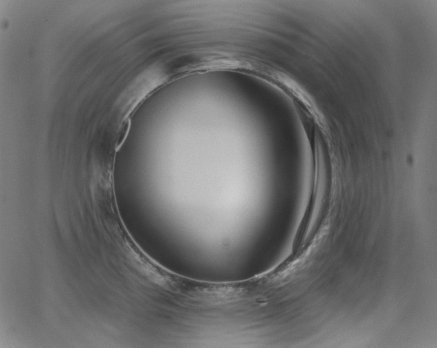 X0000062861193200601131407