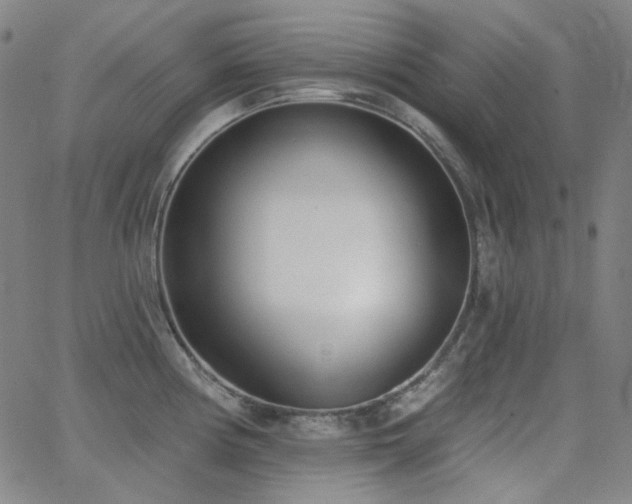 X0000062861194200601131407
