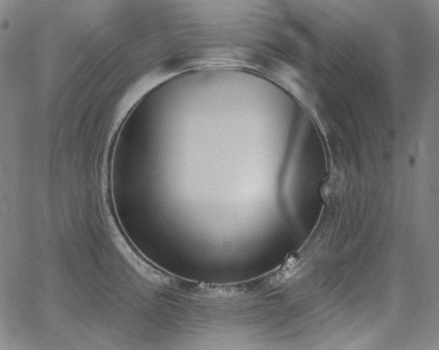 X0000062861195200601131407