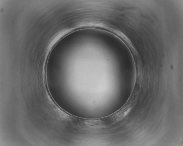 X0000062861199200601131407
