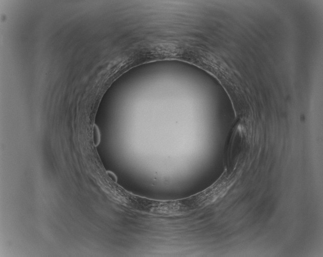 X0000062861201200601131406
