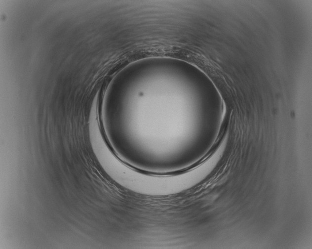 X0000062861202200601131406
