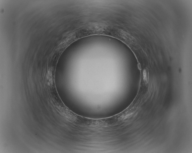 X0000062861203200601131406