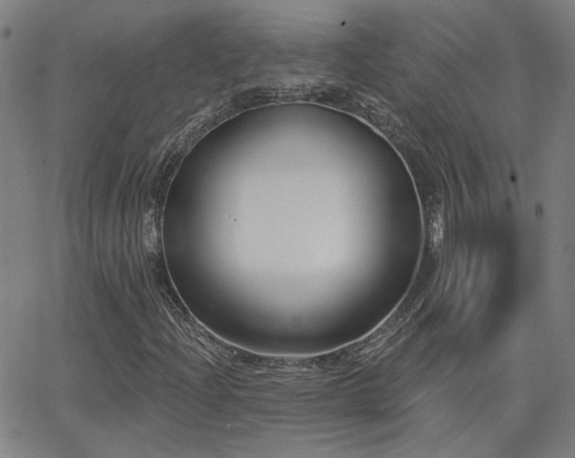 X0000062861204200601131407