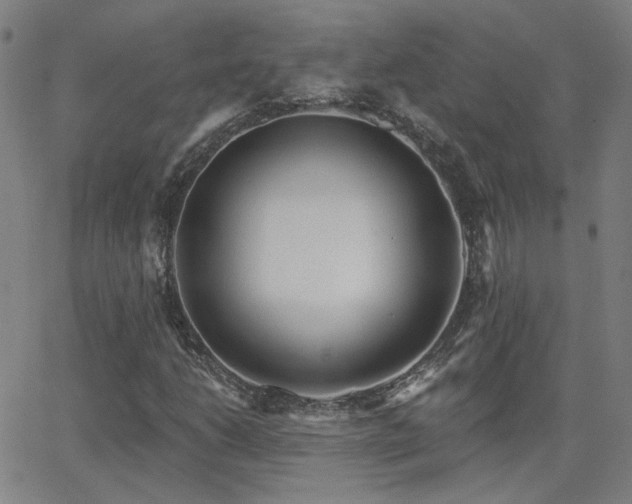 X0000062861206200601131407