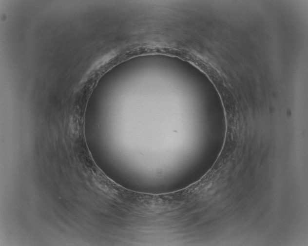 X0000062861207200601131407