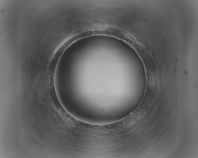 X0000062861208200601131407