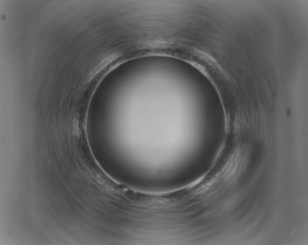 X0000062861209200601131407