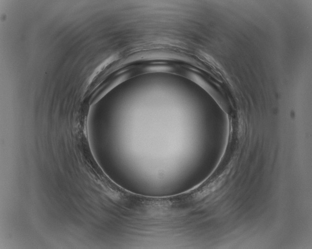 X0000062861210200601131407