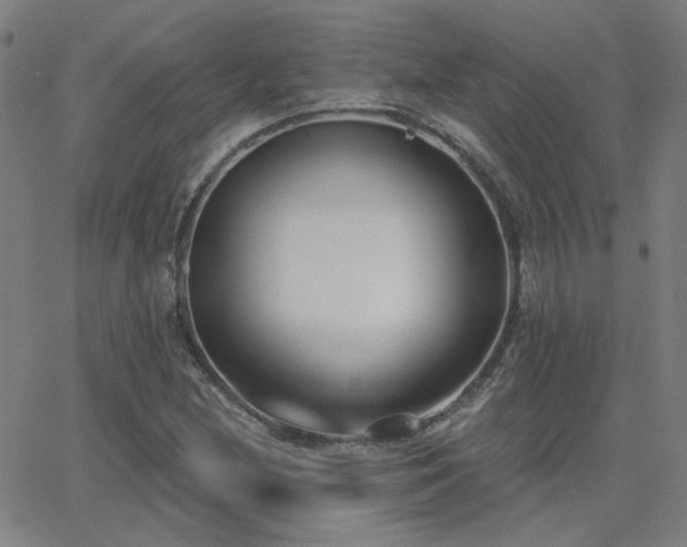 X0000062861212200601131407