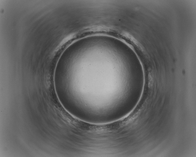 X0000062861213200601131407