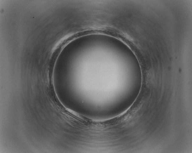 X0000062861214200601131407