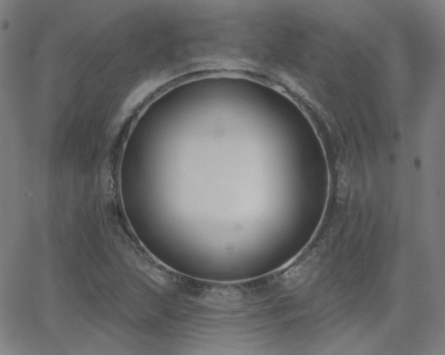 X0000062861215200601131407