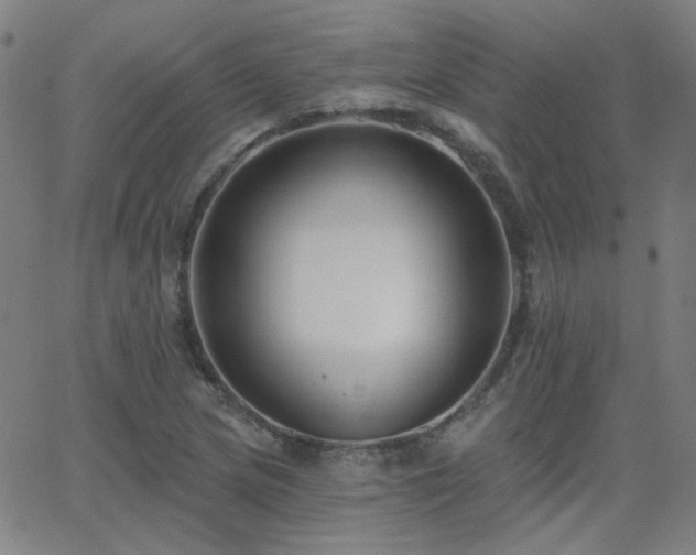 X0000062861217200601131407