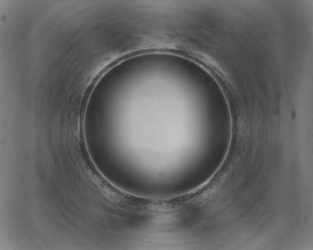 X0000062861220200601131407