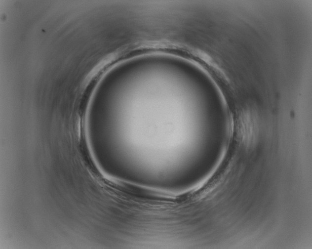 X0000062861221200601131407