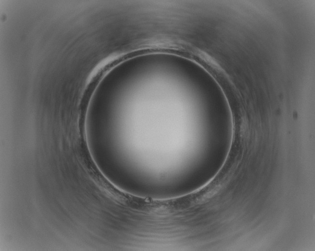 X0000062861222200601131407