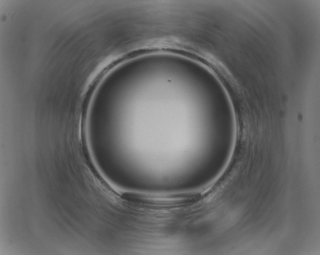 X0000062861224200601131407