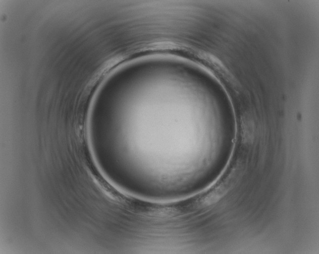X0000062861225200601131407