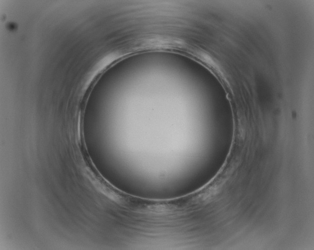 X0000062861227200601131407