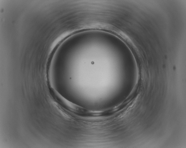 X0000062861230200601131407