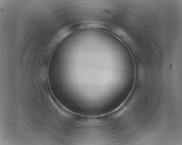 X0000062861233200601131407