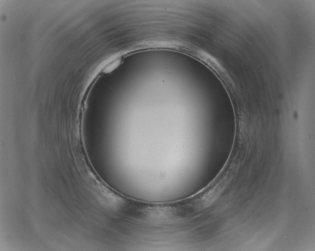 X0000062861236200601131407