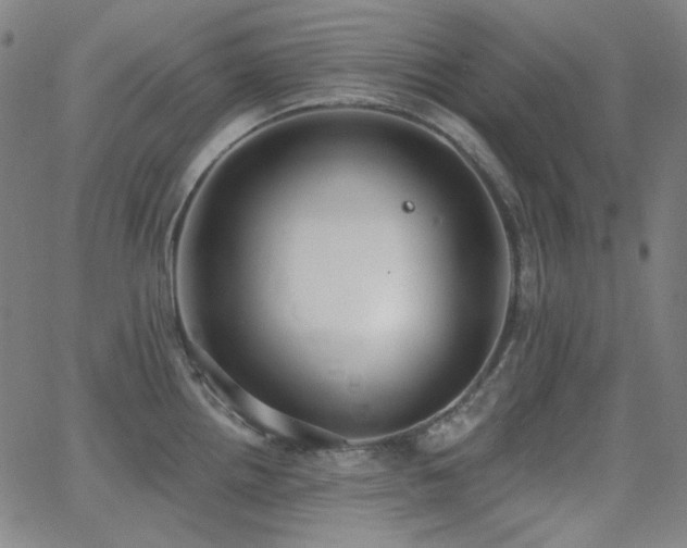 X0000062861242200601131407