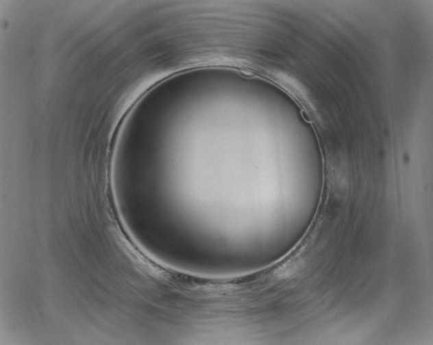 X0000062861244200601131407