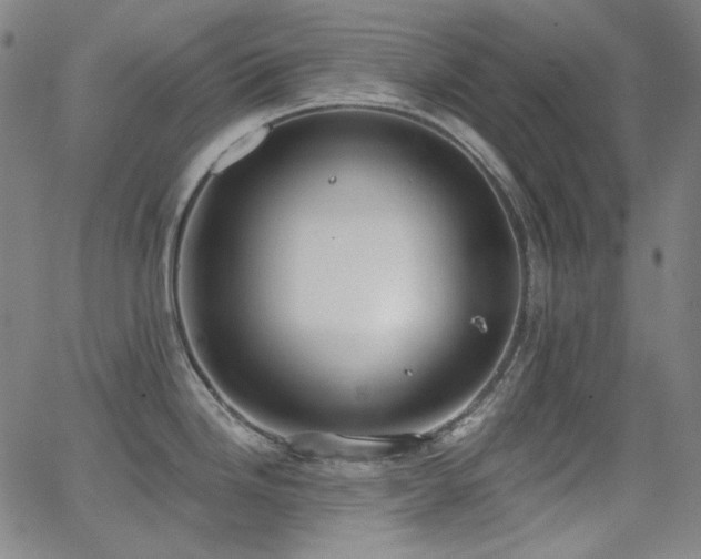 X0000062861246200601131407