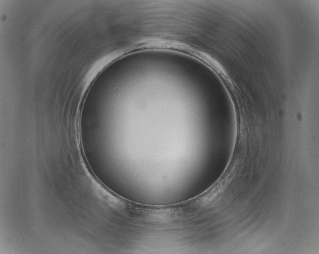 X0000062861247200601131407