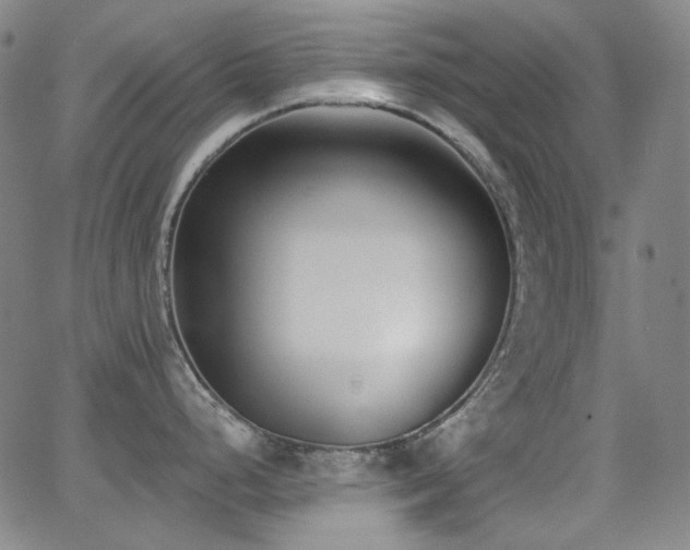 X0000062861248200601131407