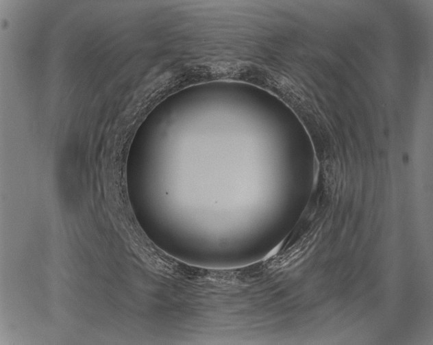 X0000062861249200601131406