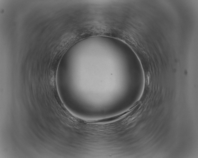 X0000062861251200601131406